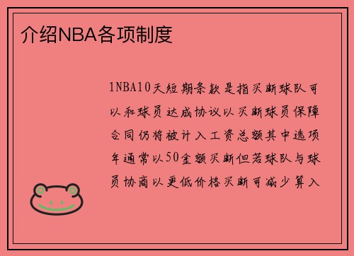 介绍NBA各项制度
